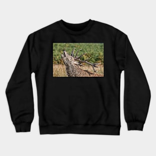 Lots to say Crewneck Sweatshirt